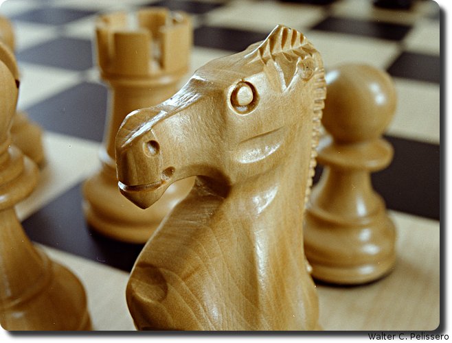 chess-knight.jpg